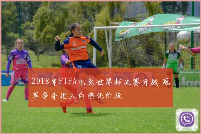 2018年FIFA电竞世界杯决赛开战 冠军争夺进入白热化阶段